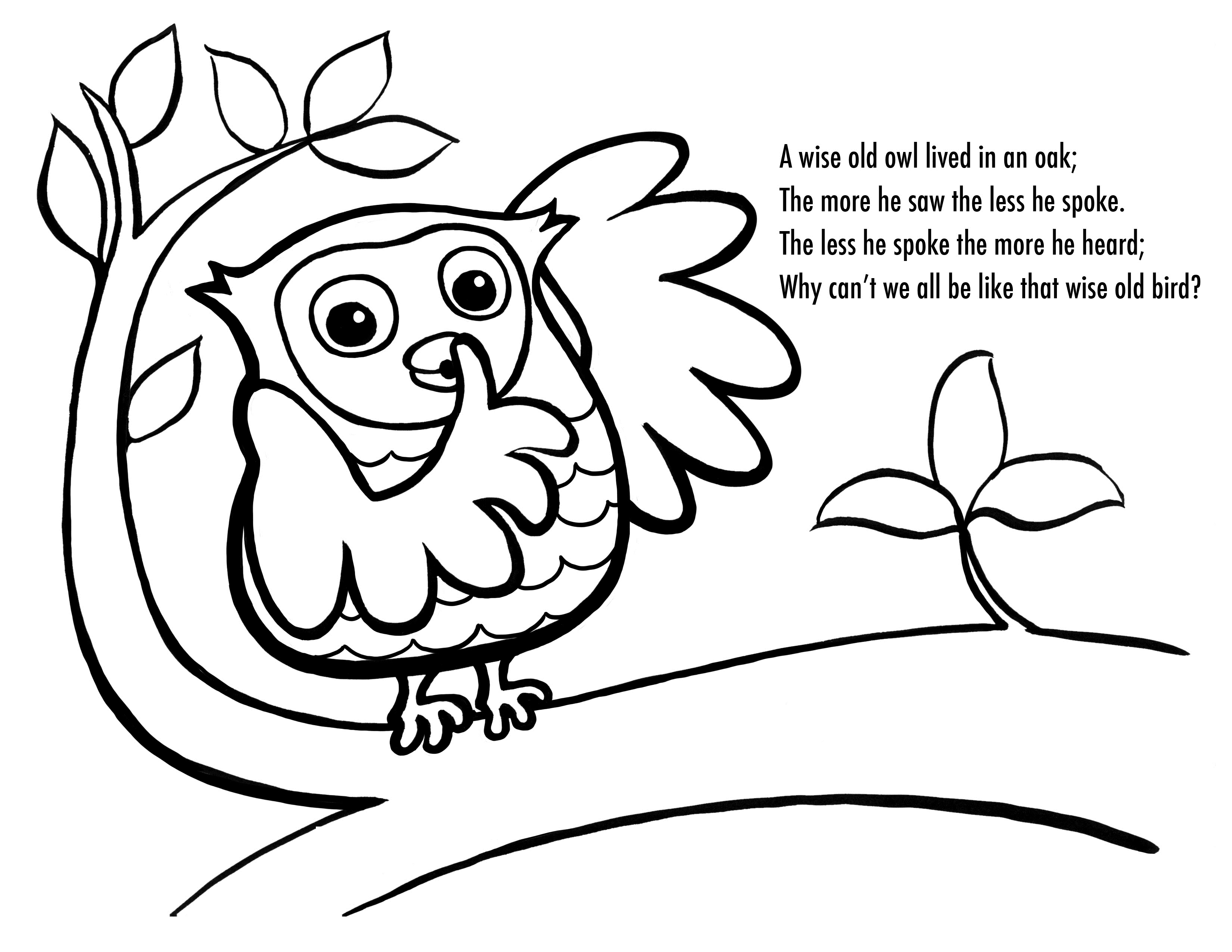 Cute Owl Eyes Bulged Coloring Page Pages Free Printable Kids