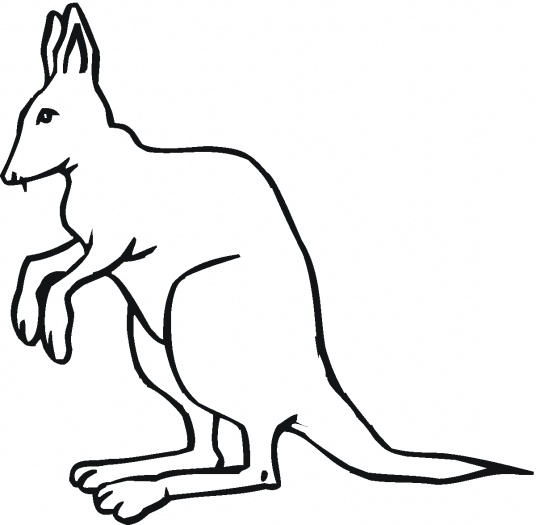 kangaroo drawings clip art - photo #45