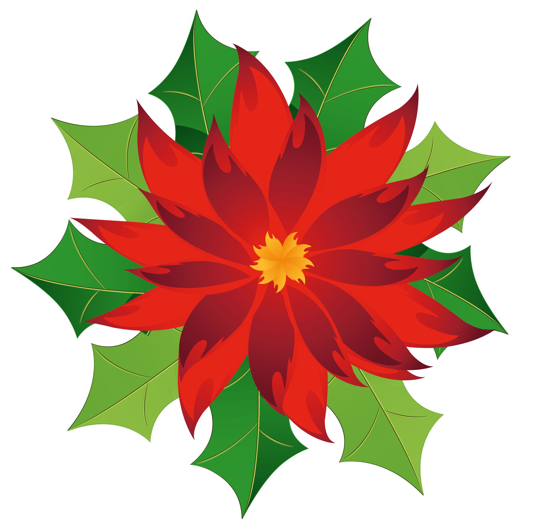 Clip Arts Related To : Poinsettia Transparent Red Poinsettia. view all Chri...