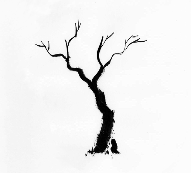 Free Tree Trunk Outline, Download Free Tree Trunk Outline png images