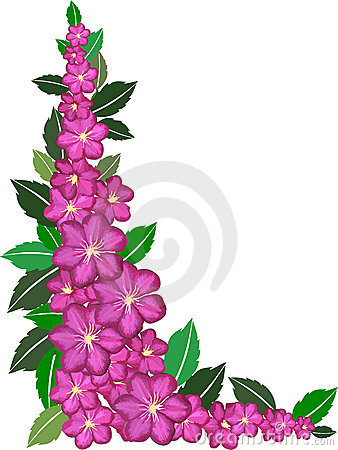 Flower Border Clipart | Clipart library - Free Clipart Images