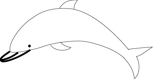 How to Draw a Dolphin? - Dolphin Facts and Information