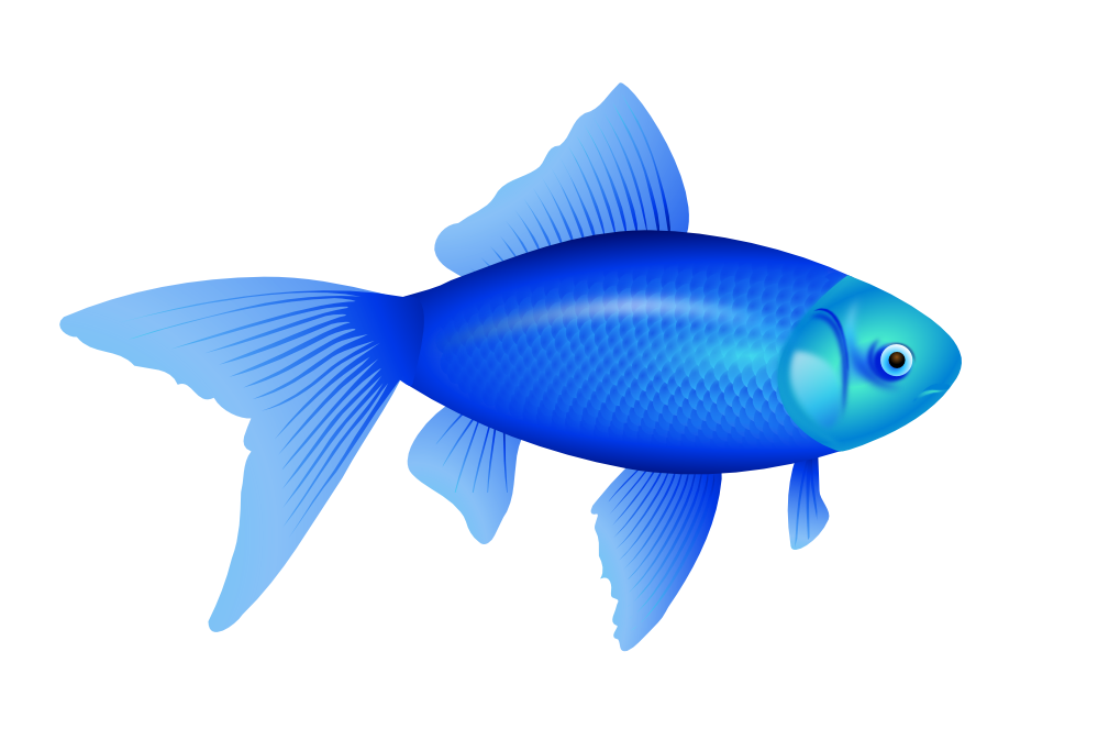 clipartist.net � Clip Art � Blue Fish Goldfish SVG
