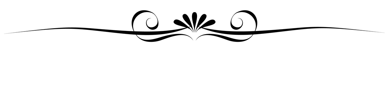 elegant divider png