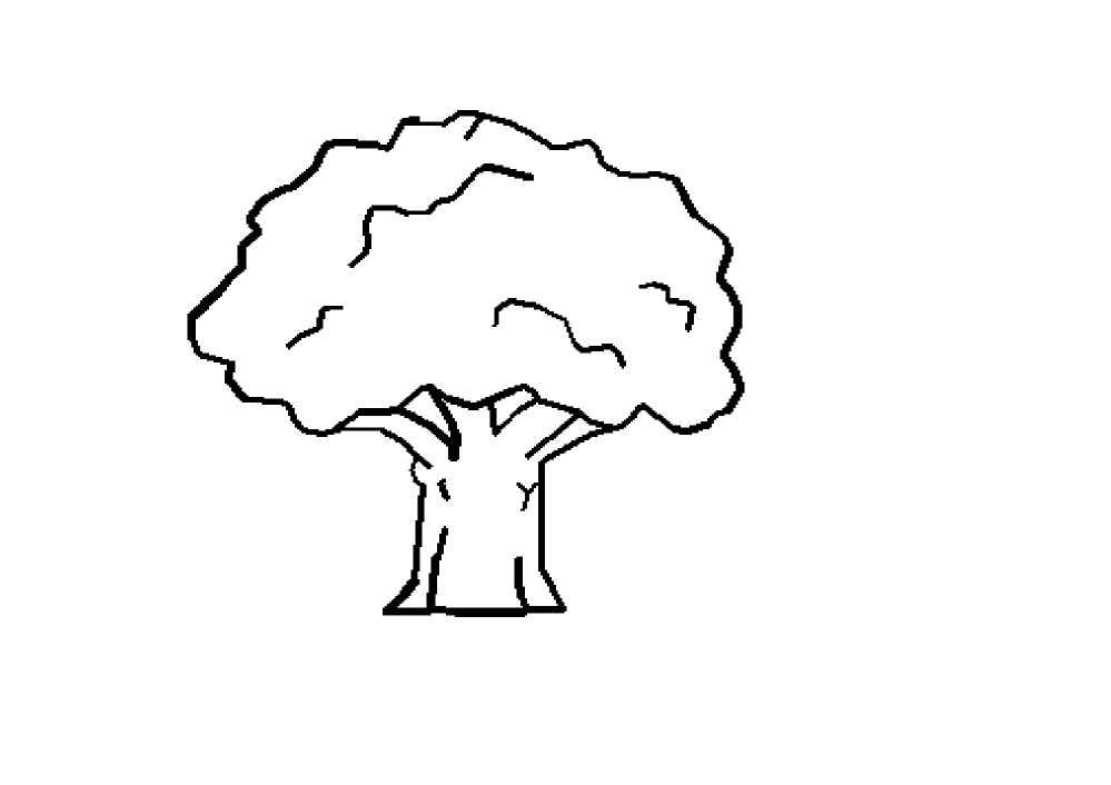 Tree Black White Line Art Coloring Book Colouring October 2011 