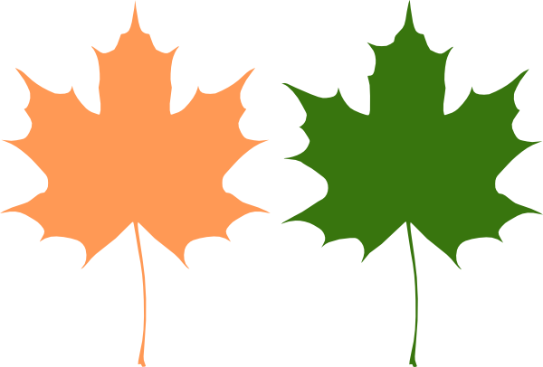 Maple Leaves clip art - vector clip art online, royalty free 