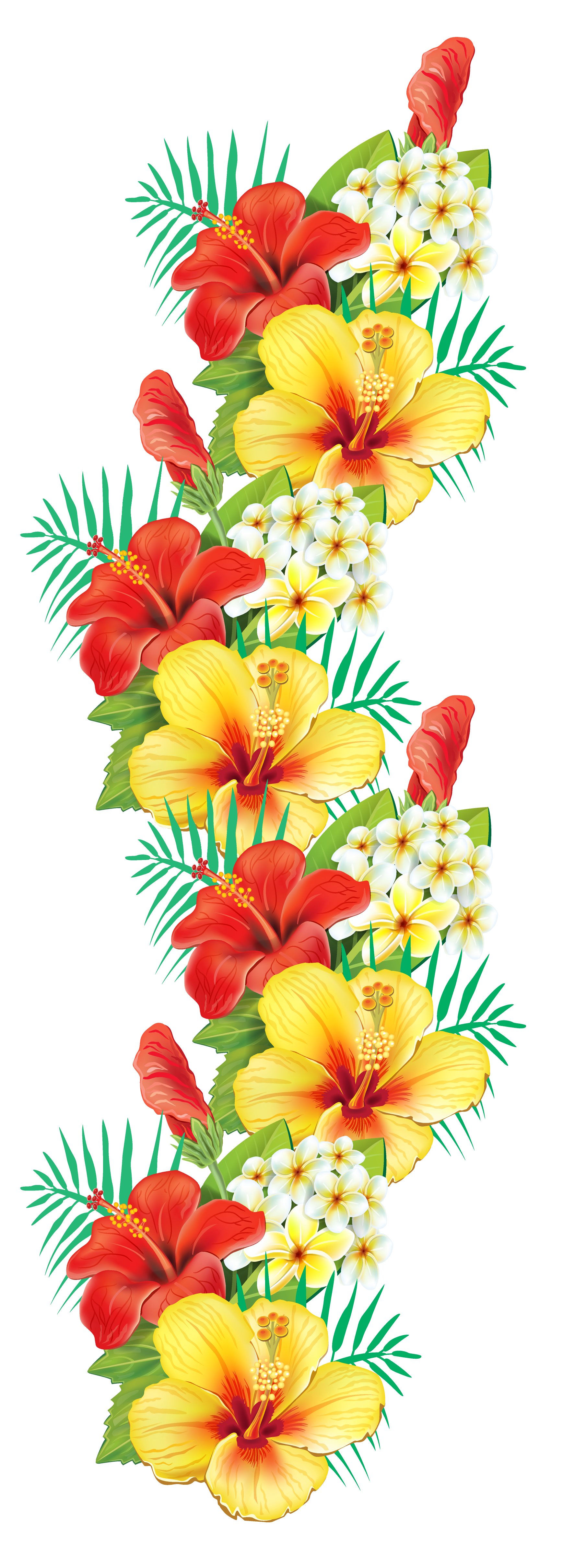 Exotic Flowers Decor PNG Clipart