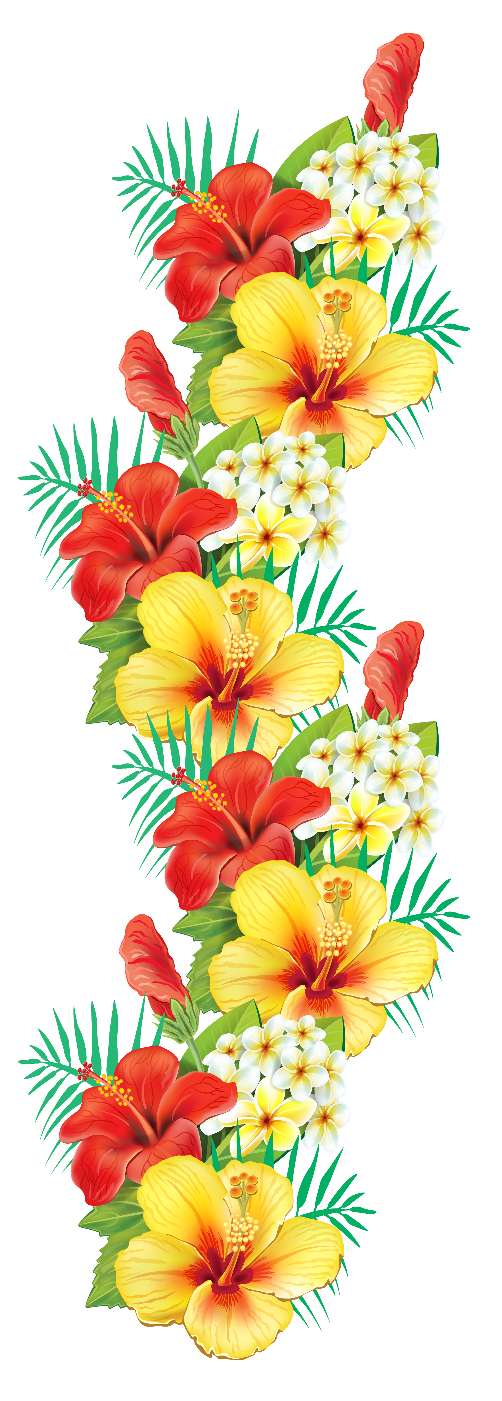 Hawaiian Flowers Border Clipart At Tayla Bugnion Blog Hawaiian Flowers Border Clipart At Tayla Bugnion Blog