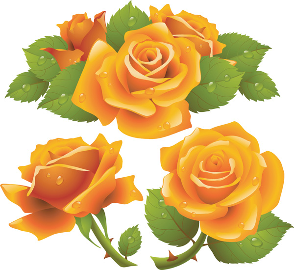 rose clip art free download - photo #4