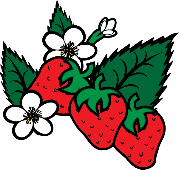Strawberry Plant Clipart Black And White | Clipart library - Free 