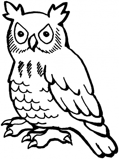 Owl Outline - Clipart library
