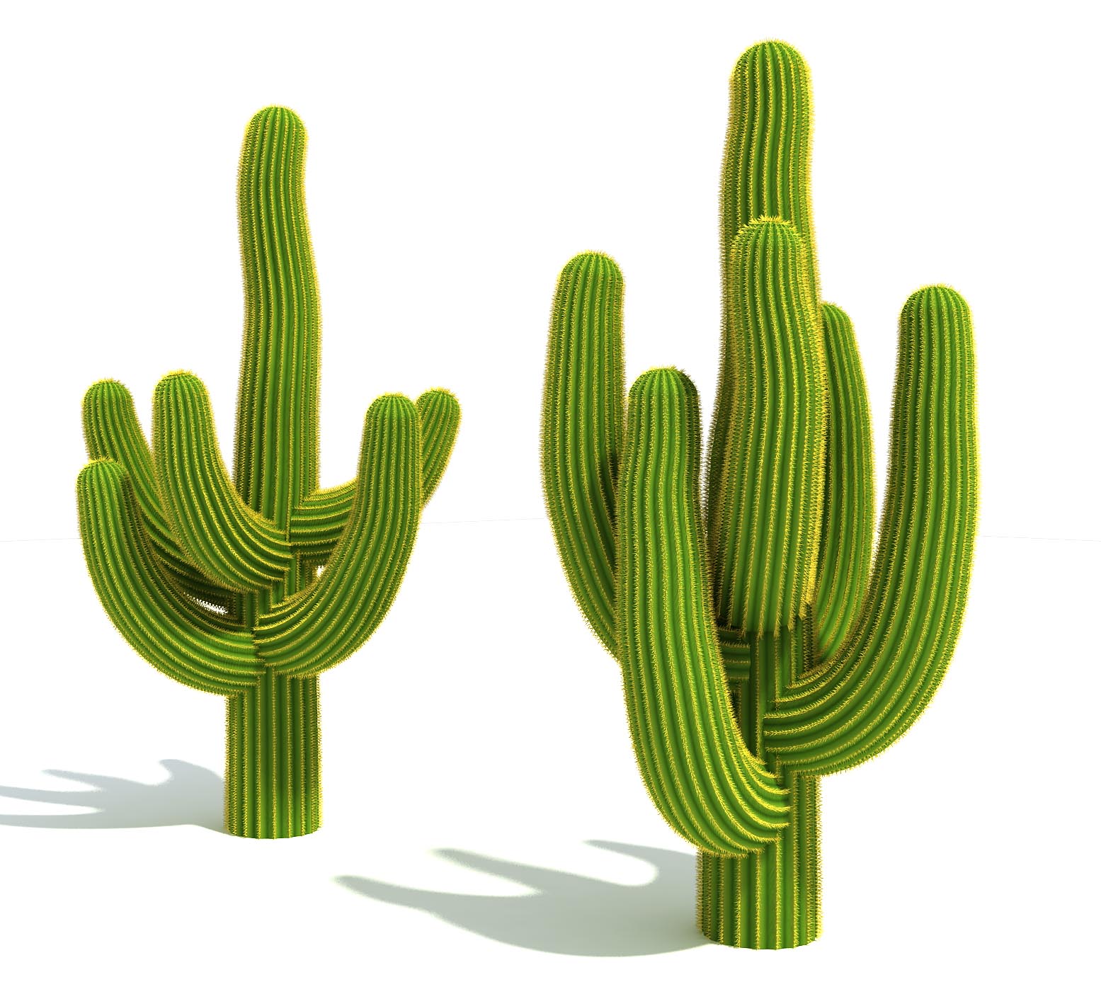 Cactus 3d Models Free Download Clip Art Library