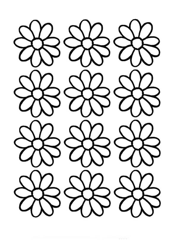 daisy flowers coloring pages - photo #19