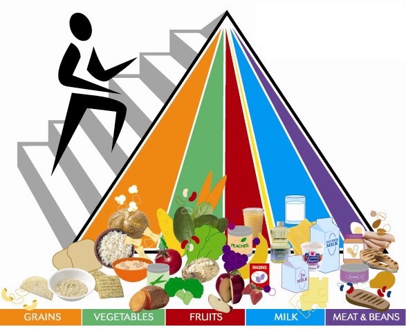 Make A Chart Of Balanced Diet