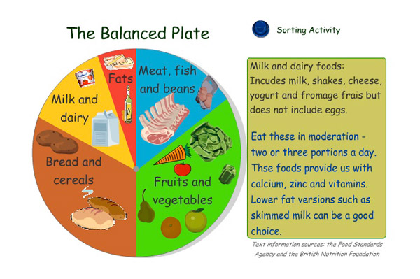 Balanced Diet Chart For A Day