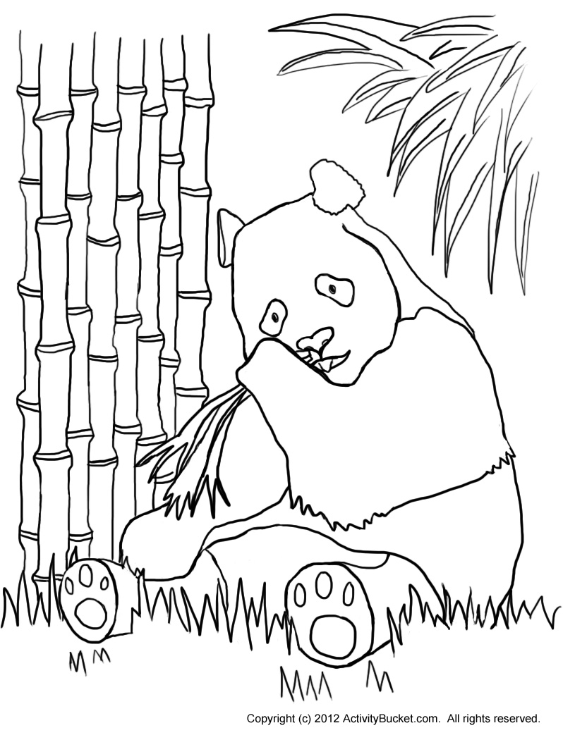 coloring pages panda with bamboo  clip art library