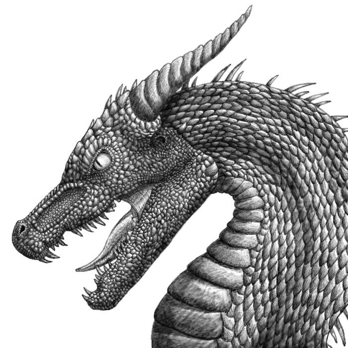 Clipart library: More Like Angry Dragon, Black and White by 