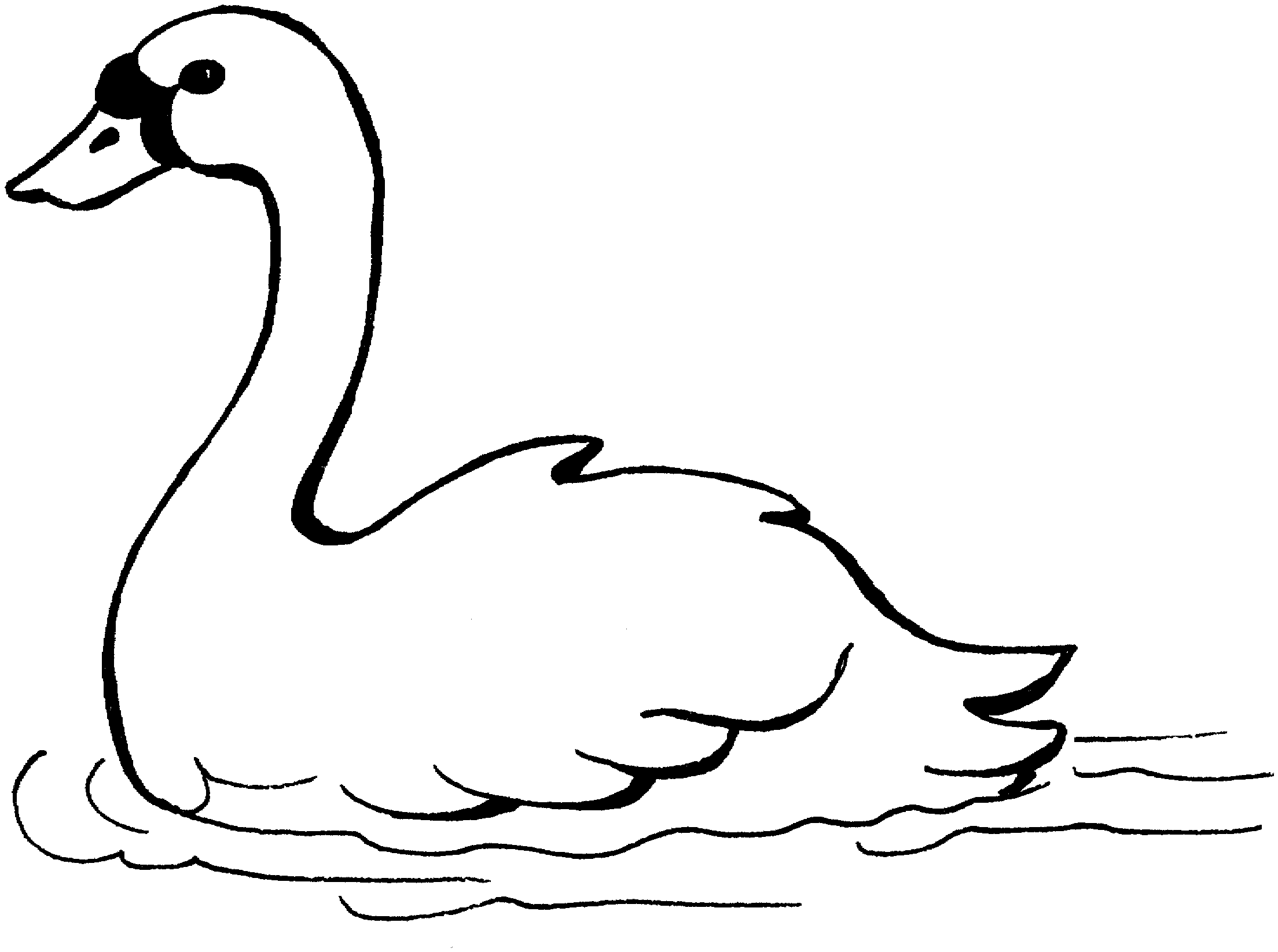 Free Outline Pictures Of Animals For Colouring, Download Free Outline