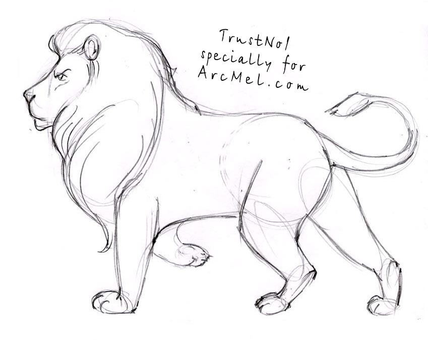How-to-draw-a-lion-step-by- 