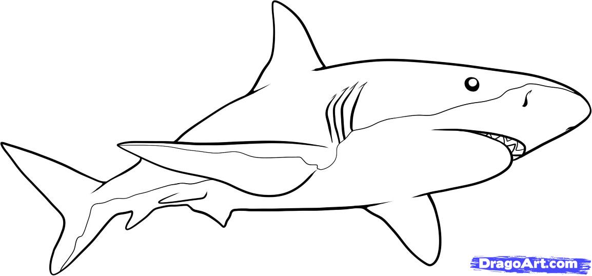 easy to draw sharks - Clip Art Library
