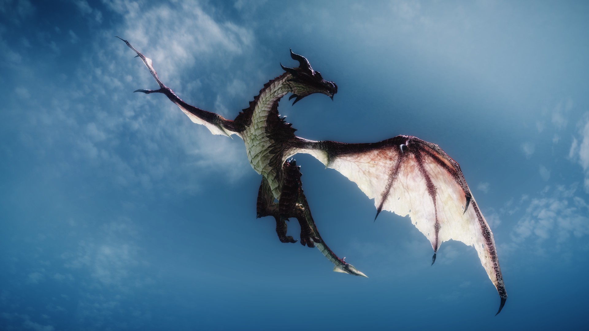 flying dragon wallpaper