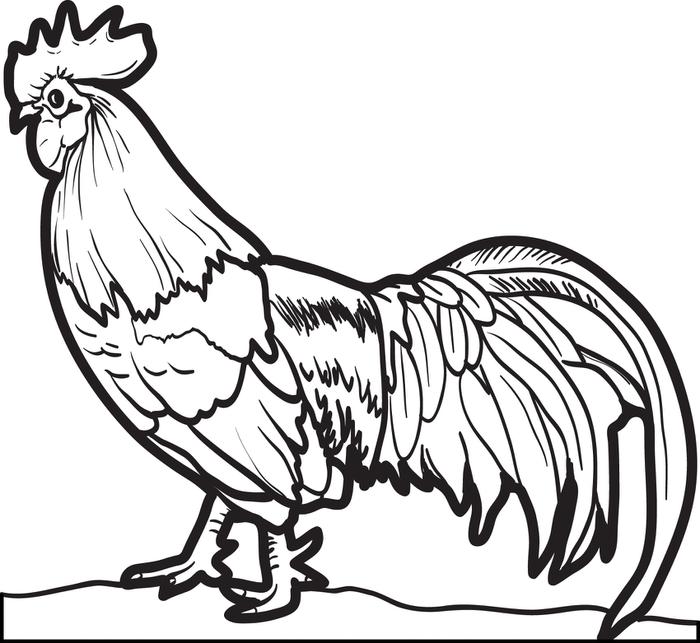 free-coloring-pages-for-chickens-download-free-coloring-pages-for-chickens-png-images-free
