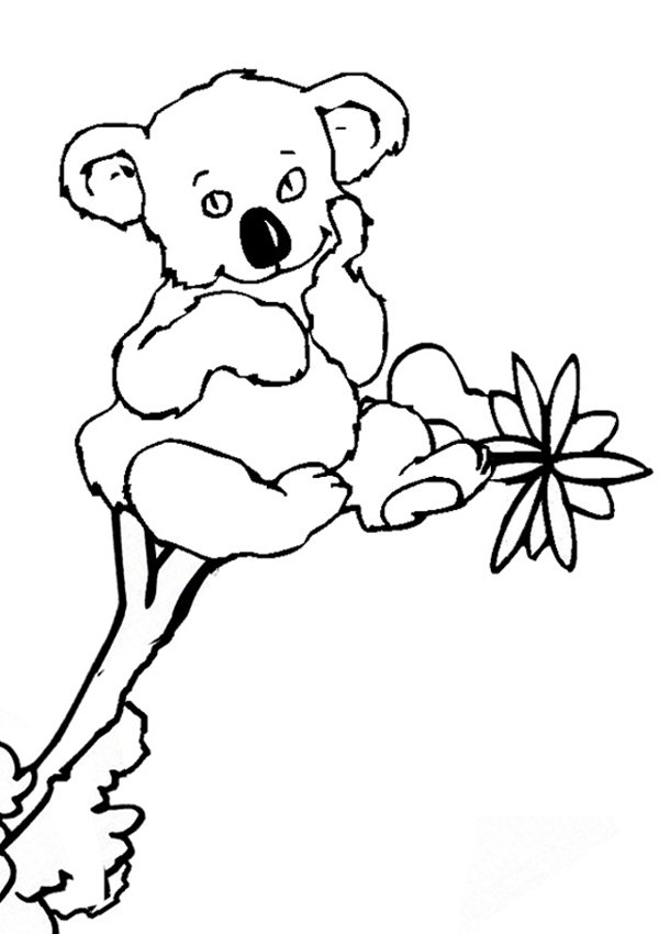 dibujos del koala para pintar - Clip Art Library