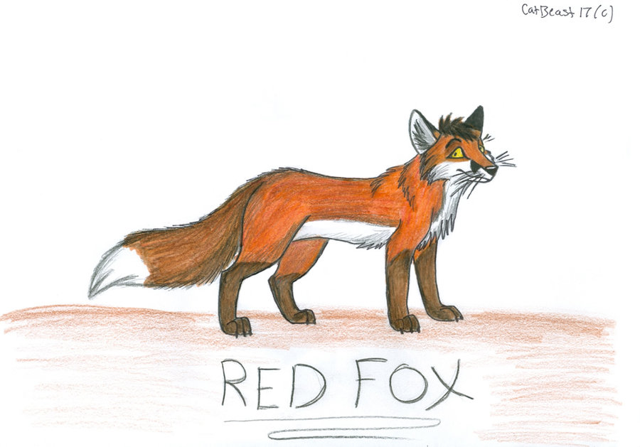 Cartoon Red Fox by CatBeast17 on Clipart library