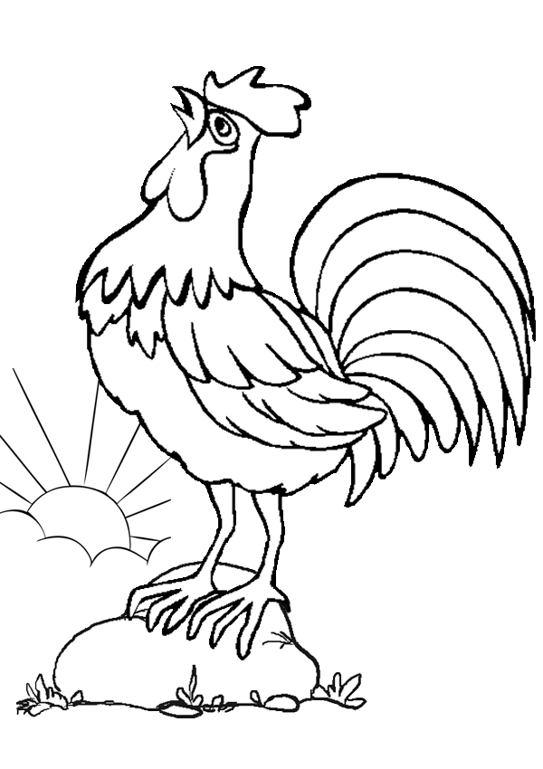 rooster cartoon coloring - Clip Art Library