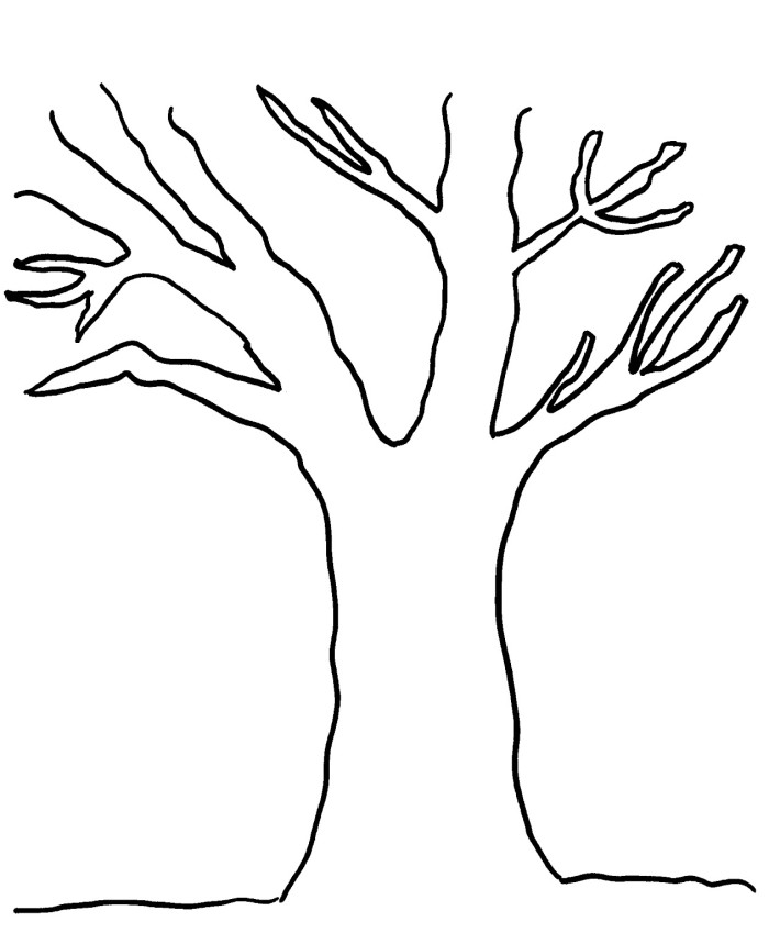 tree without leaves outline