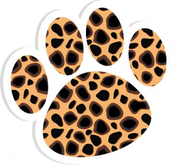 Paw Magnetic Whiteboard Erasers