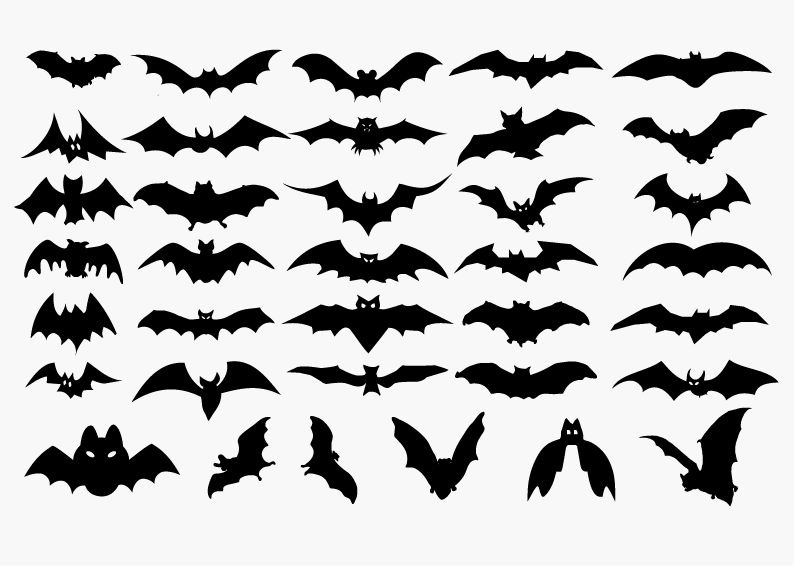 Vector Set of Halloween Bat Silhouette | Free Vector Graphics 
