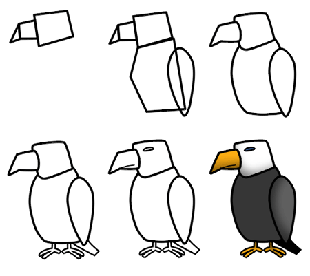 Drawing a cartoon eagle