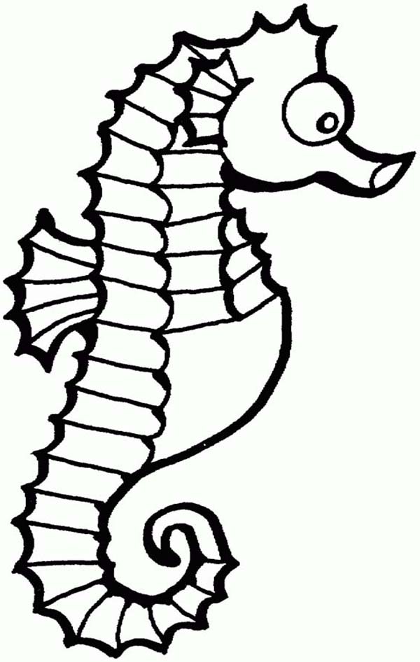 Free Seahorse Cartoon Pictures, Download Free Seahorse Cartoon Pictures