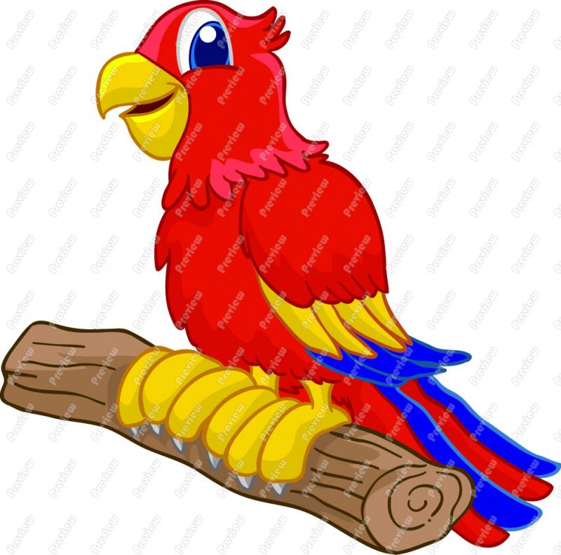 Free Cartoon Pictures Of Parrots, Download Free Cartoon Pictures Of Parrots  png images, Free ClipArts on Clipart Library