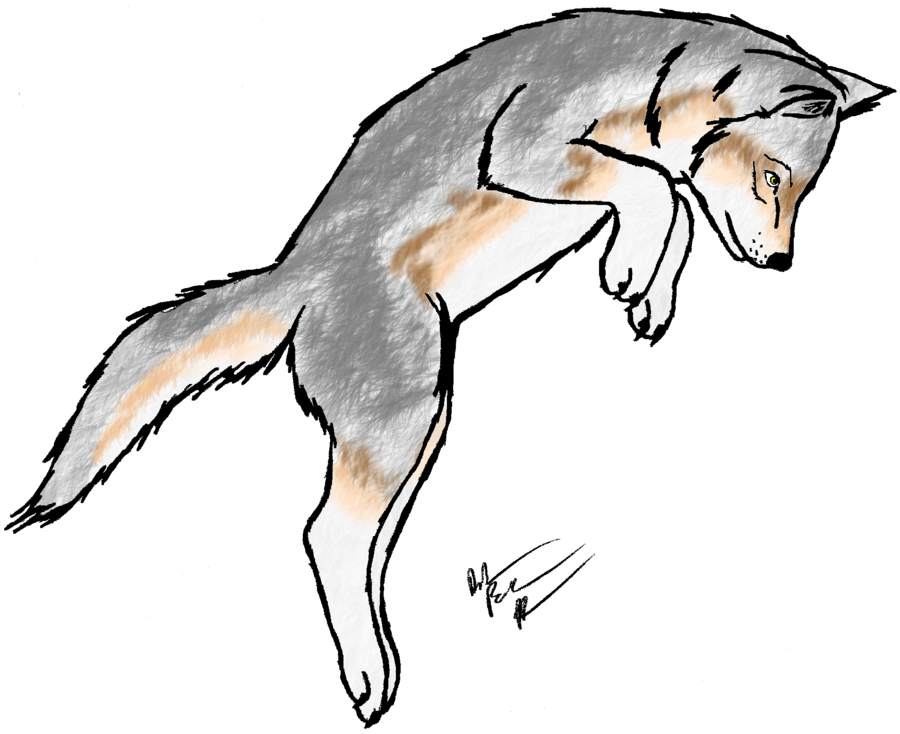 Wolf Pup Adoptable ---OPEN--- by xXMaishaXx on Clipart library