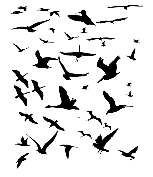 vector-birds-silhouettes