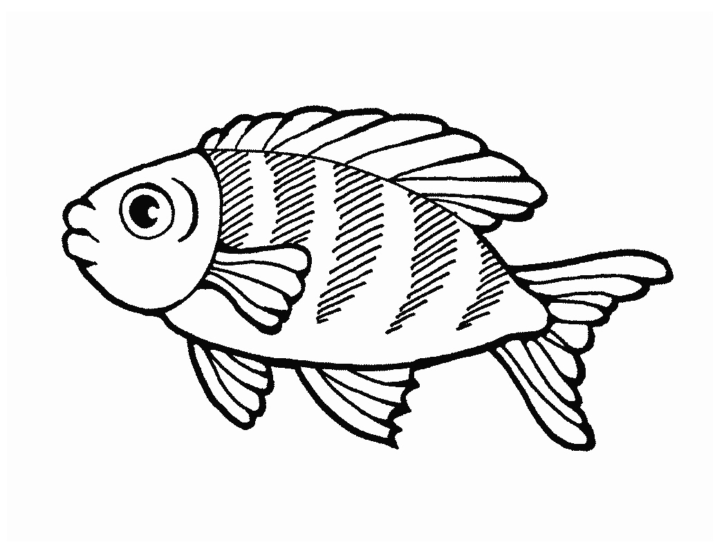 Free Fish Outline, Download Free Fish Outline png images, Free ClipArts