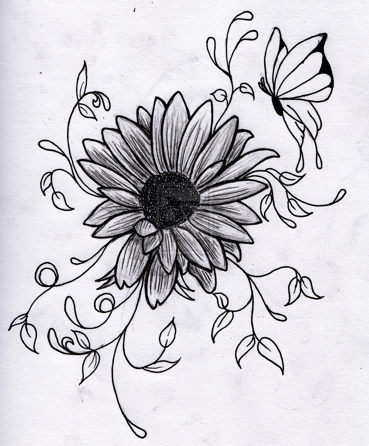 Flower Drawing Easy Cute Michelle Writesya