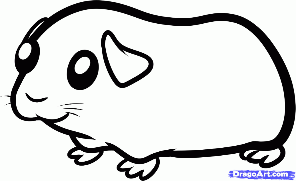 Featured image of post Cartoon Cute Guinea Pig Drawing 2 from the middle of the rectangle draw one vertical and one horizontal line mark off the width and height of the guinea pig