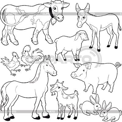Free Images Of Wild Animals Only Outline, Download Free ...