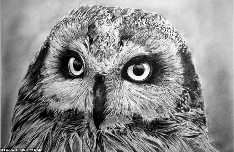 hyper realistic drawings of animals - Clip Art Library