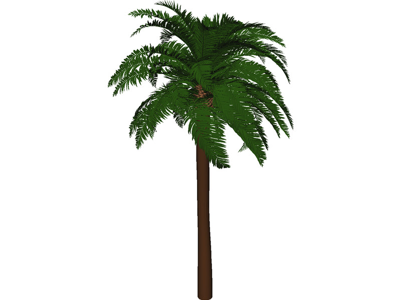 Coconut Tree 3D Model Download | 3D CAD Browser
