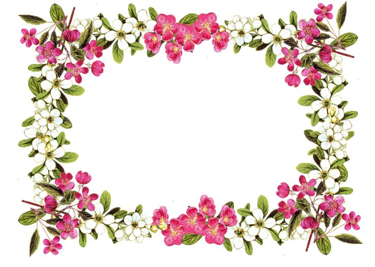 Free Printable Clip Art Borders | free digital flower frame png 