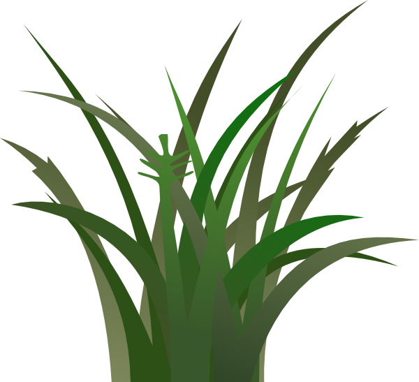 Green Grass clip art - vector clip art online, royalty free 