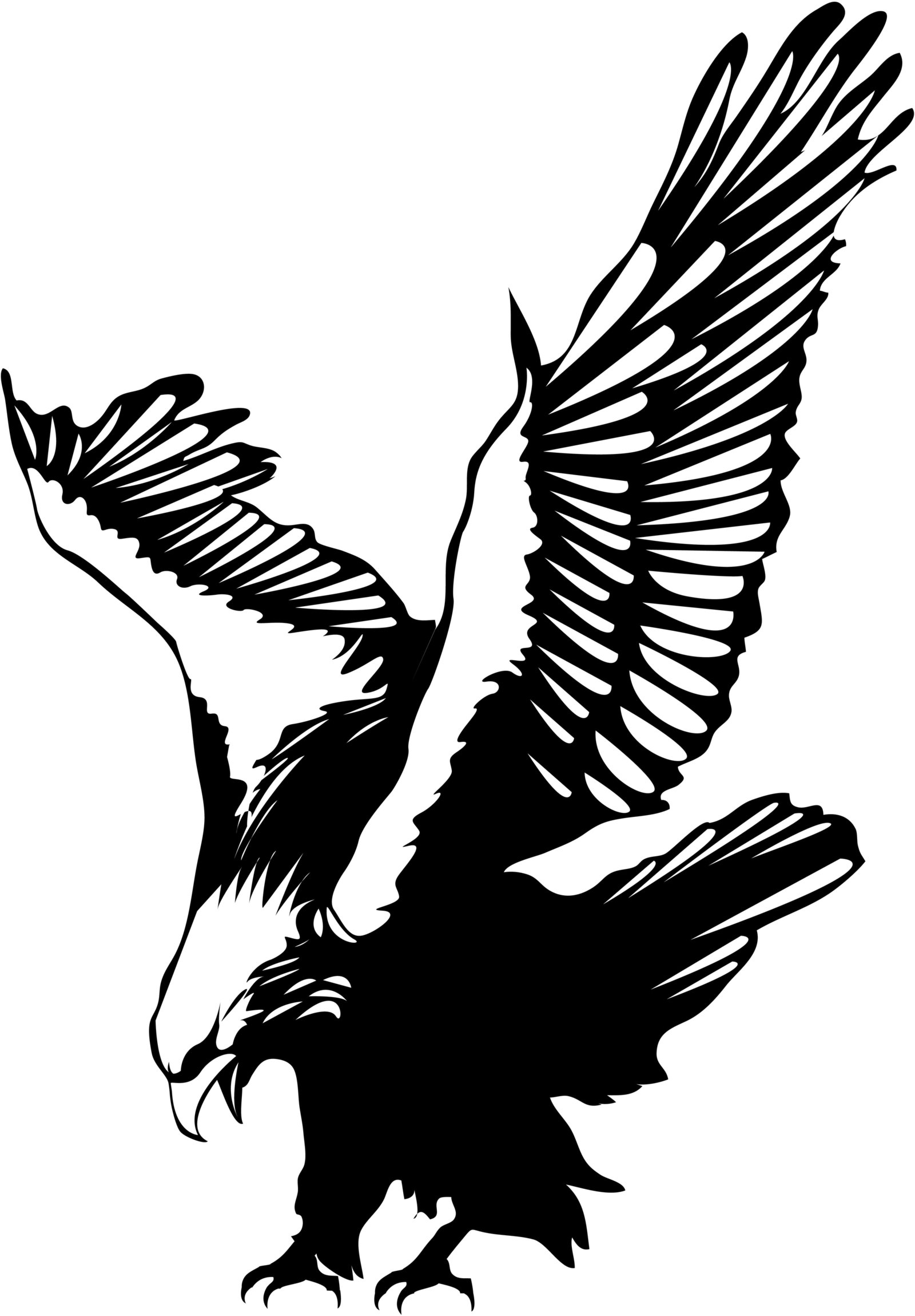 Eagles Logo Vector - HD Photos Gallery
