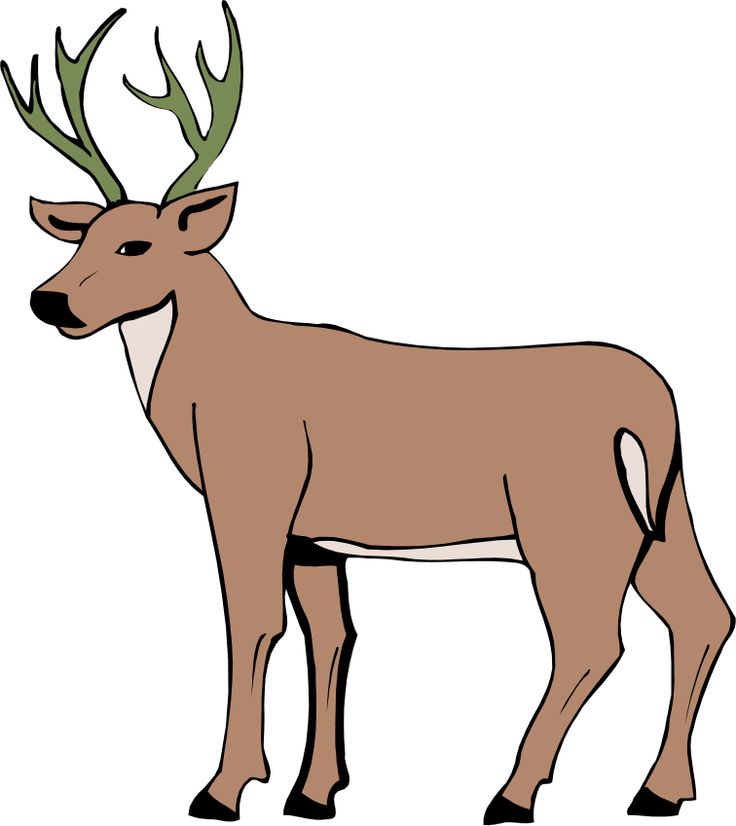 Free Cartoon Pictures Of Deer, Download Free Cartoon Pictures Of Deer