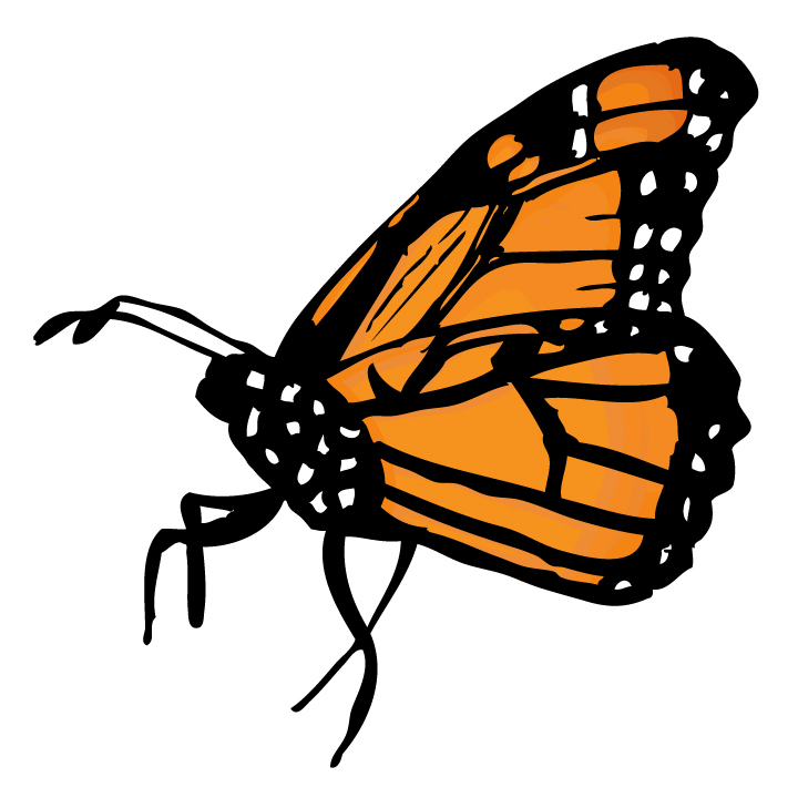 Clip Art Monarch Butterfly