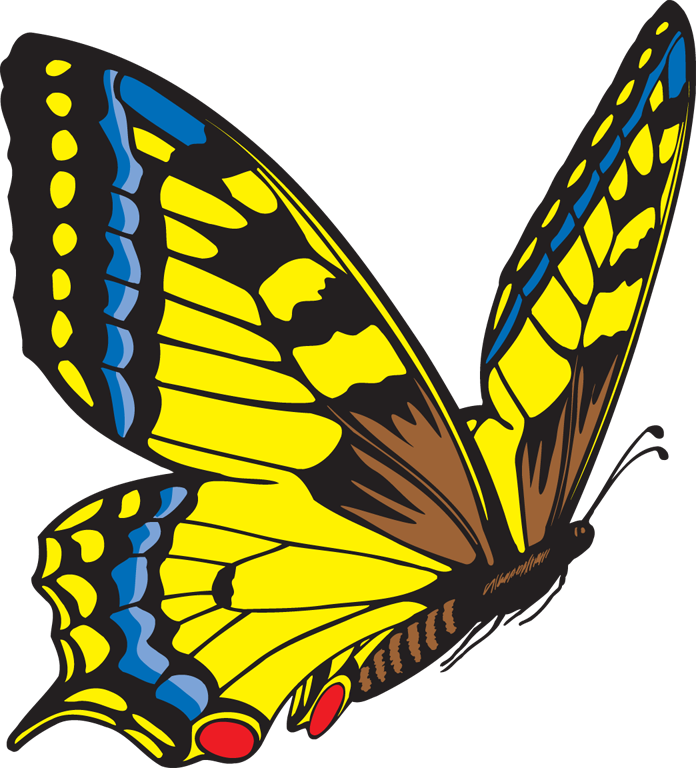 Butterfly Flying Clipart
