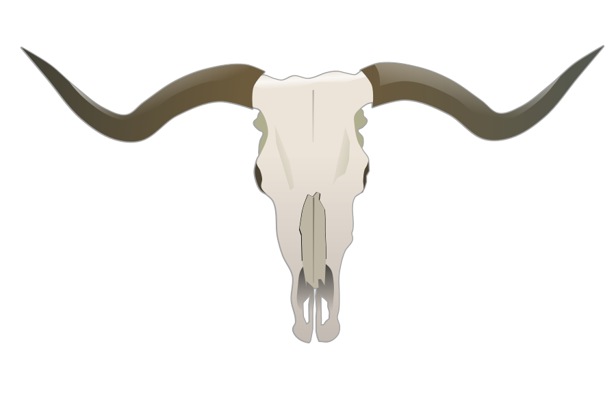 Longhorn Skull Vector Free
